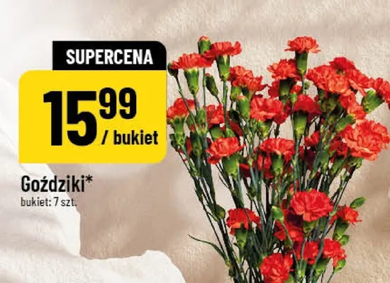 Goździki promocja w POLOmarket