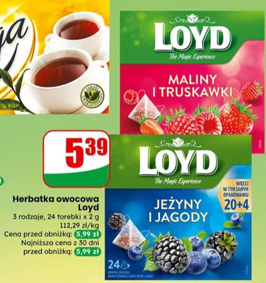 Herbatka owocowa Loyd 3 rodzaje promocja w Dino