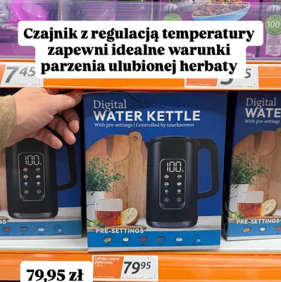 Czajnik z regulacją temperatury promocja w Action