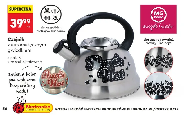 Czajnik MG Home z automatycznym gwizdkiem 3 l promocja w Biedronka