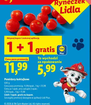 Pomidory koktajlowe promocja w Lidl