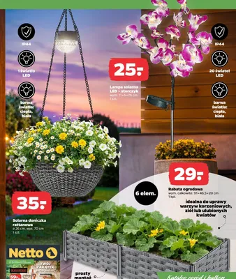 Rabata ogrodowa promocja w Netto