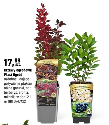 Katalog Ogród, strona 94 promocja w OBI