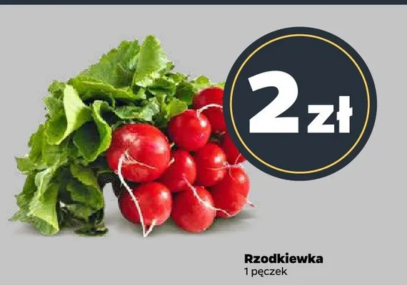 Rzodkiewka promocja w Netto