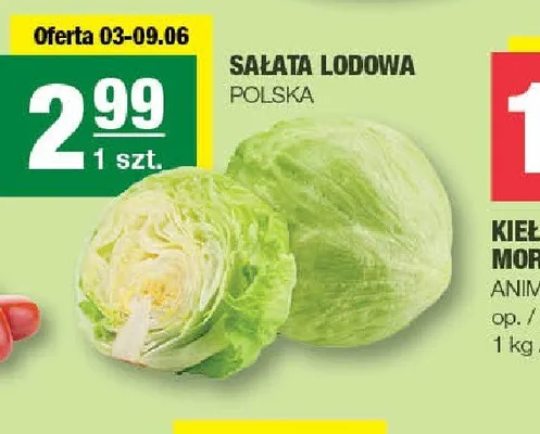 Sałata lodowa Polska promocja w SPAR