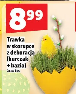 Trawka w skorupce z dekoracją (kurczak + bazia) promocja w TOPAZ