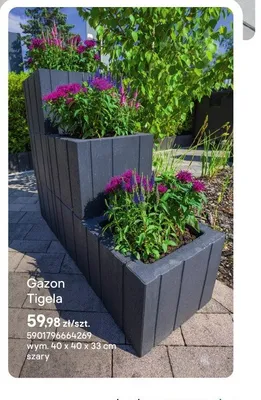 Gazon Tigela  promocja w Castorama