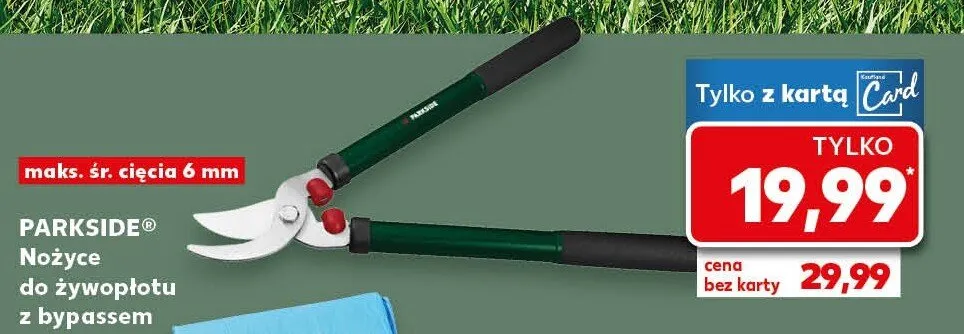 Nożyce do żywopłotu z bypassem promocja w Kaufland