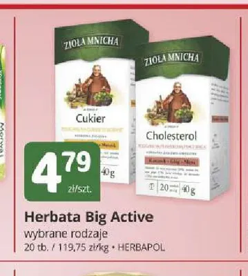 Herbata Big Active Zioła Mnicha polecane na cholesterol promocja w Marketvita