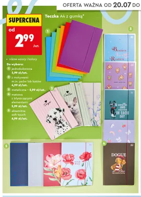 Teczka A4 z gumką metaliczna Interdruk promocja w Biedronka