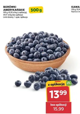 Borówki amerykańskie promocja w Stokrotka