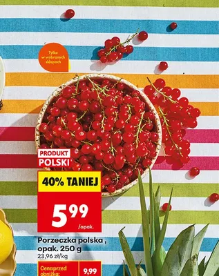 Porzeczka polska promocja w Biedronka