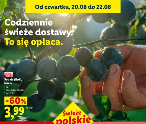 Śliwki polskie luzem promocja w Lidl