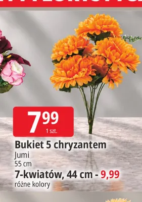 Bukiet chryzantem 7-kwiatów 44 cm Jumi promocja w Leclerc