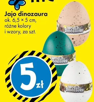Jajo dinozaura różne kolory i wzory promocja w Tedi