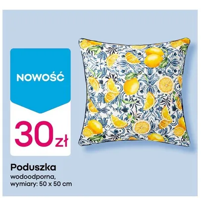 Poduszka wodoodporna 50x50 cm promocja w Pepco