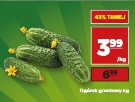 Ogórki gruntowe promocja w API Market
