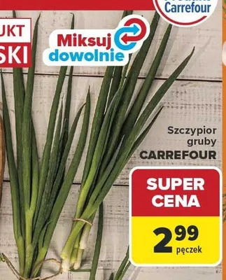 Szczypior gruby Carrefour promocja w Carrefour
