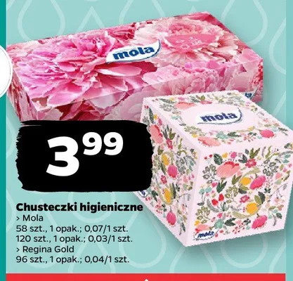 Chusteczki higieniczne Mola promocja w Netto