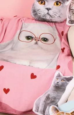 Koc flanelowy 130x160 cm promocja w Biedronka