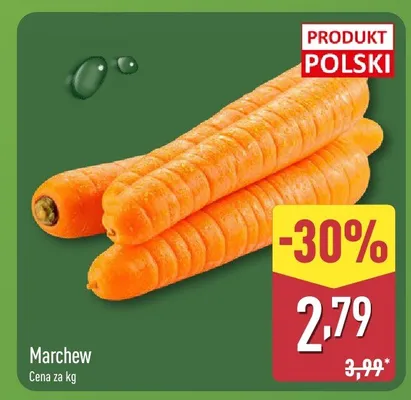 Marchew promocja w Aldi
