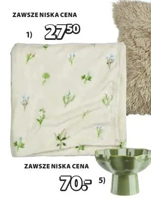 Koc z polaru Engsolei promocja w Jysk