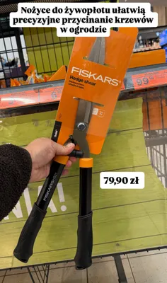 Nożyce do żywopłotu promocja w Biedronka