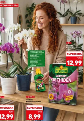 Podłoże do orchidei promocja w Kaufland