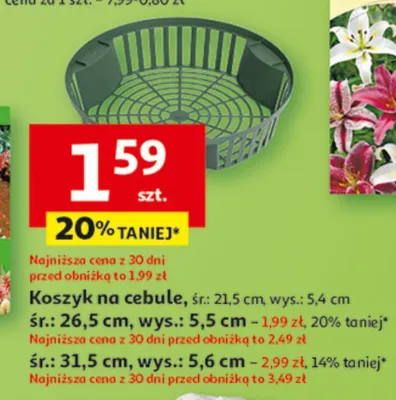 Koszyk na cebule promocja w Auchan