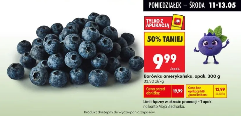 Borówka amerykańska promocja w Biedronka