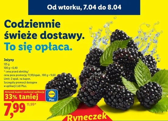 Jeżyny promocja w Lidl