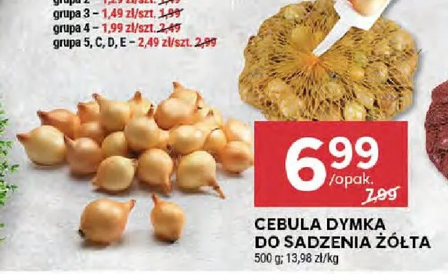Cebula dymka do sadzenia żółta promocja w Stokrotka