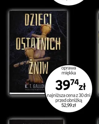 Książka Dzieci ostatnich żniw K.T. Galloway oprawa miękka promocja w Empik