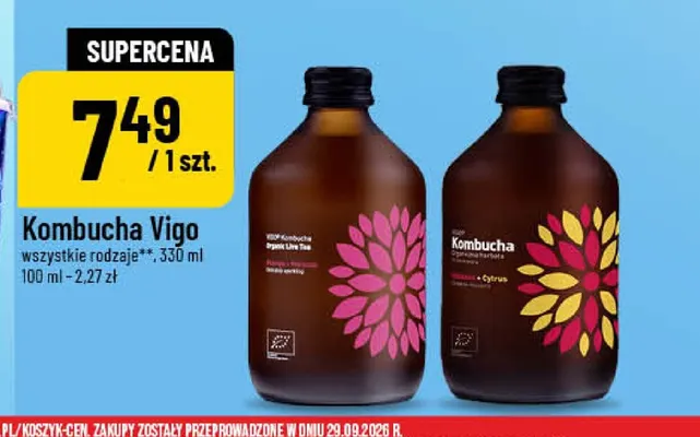 Kombucha Vigo promocja w POLOmarket