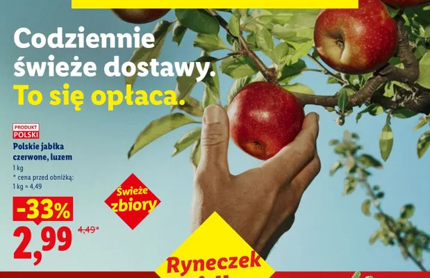 Polskie jabłka czerwone promocja w Lidl