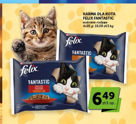 Karma dla kota Felix Fantastic 4-pak promocja w Euro Sklep