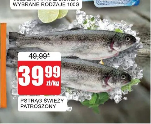 Pstrąg świeży patroszony promocja w Bingo
