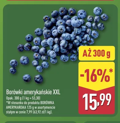 Borówki amerykańskie XXL promocja w Aldi
