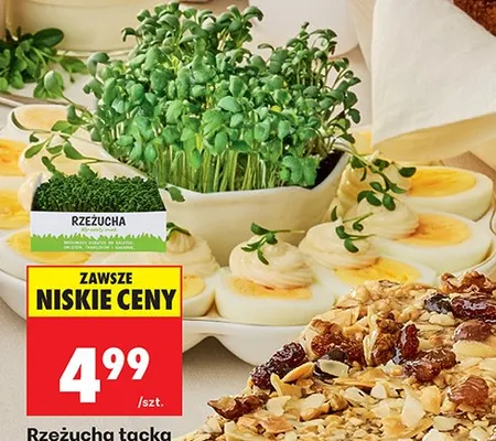 Rzeżucha tacka promocja w Biedronka