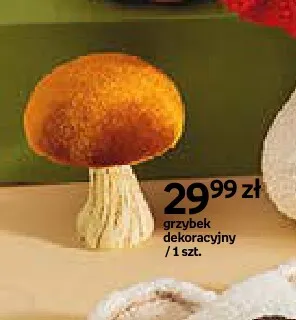 Grzybek dekoracyjny promocja w Empik