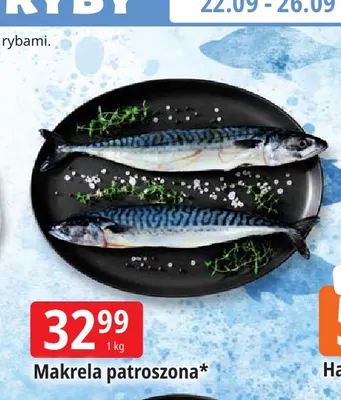 Makrela patroszona promocja w Leclerc