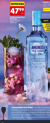 Wódka Amundsen Ice Cool promocja w Biedronka