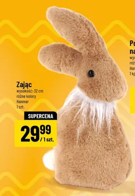 Zając promocja w POLOmarket