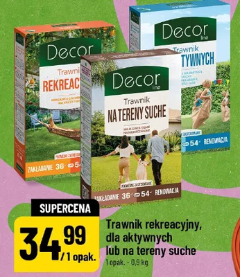 Trawnik rekreacyjny Decor promocja w POLOmarket