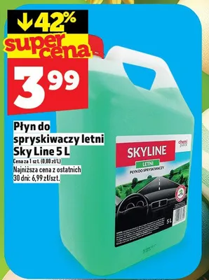 Płyn do spryskiwaczy letni Sky Line 5l promocja w TOPAZ