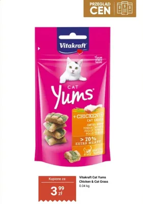 Przysmak dla kotów Vitakraft Cat Yums Chicken & Cat Grass promocja w Dino