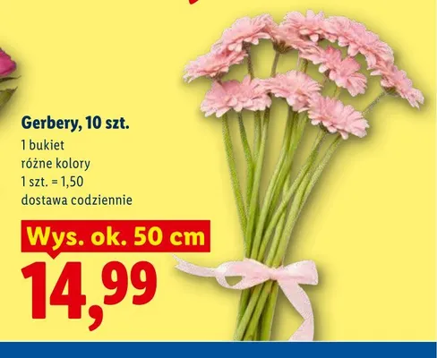 Gerbery 10-pak promocja w Lidl