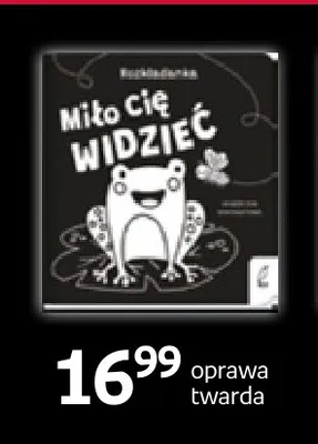 Książka Miło cię widzieć Wilga promocja w Empik