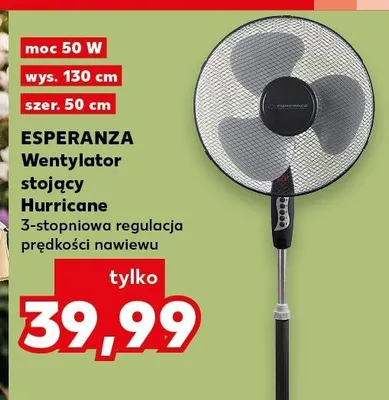 Wentylator stojący Esperanza Hurricane 50W promocja w Kaufland