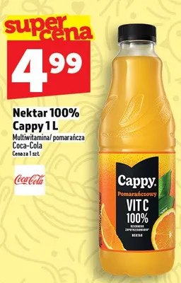 Nektar 100% Cappy 1l promocja w TOPAZ
